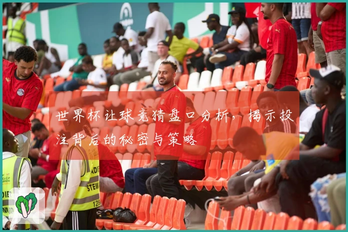 世界杯让球竞猜盘口分析，揭示投注背后的秘密与策略