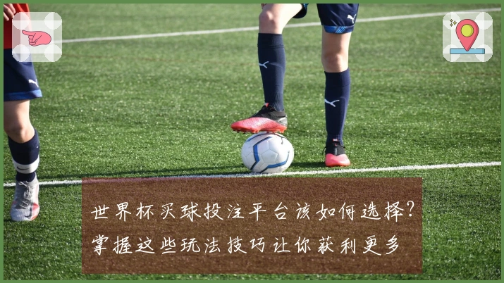 世界杯买球投注平台该如何选择？掌握这些玩法技巧让你获利更多