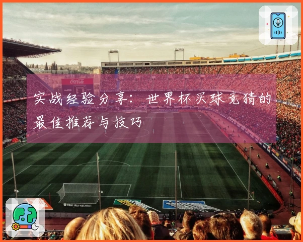 实战经验分享：世界杯买球竞猜的最佳推荐与技巧