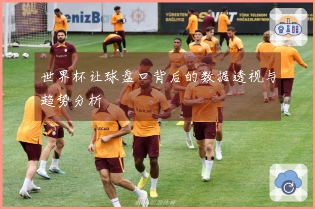 世界杯让球盘口背后的数据透视与趋势分析