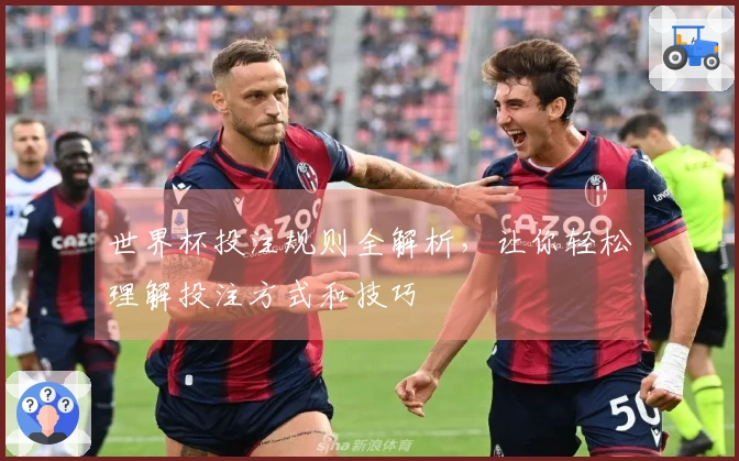 世界杯投注规则全解析，让你轻松理解投注方式和技巧