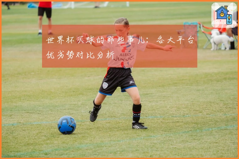 世界杯买球的那些事儿：各大平台优劣势对比分析