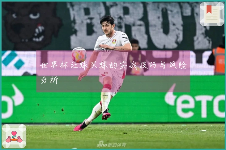 世界杯让球买球的实战技巧与风险分析